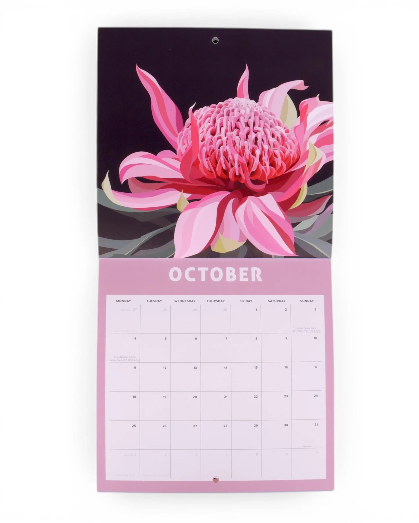 La La Land 2027 Artists Wall Calendar