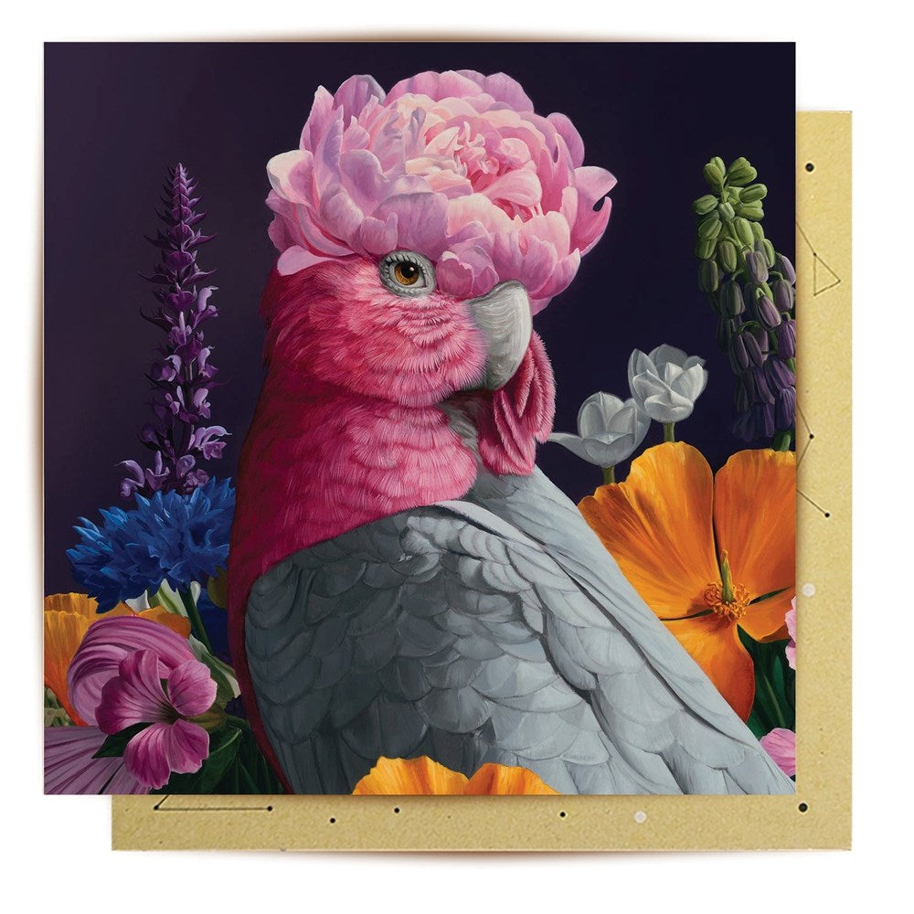 La La Land: Greeting Card Wonderland