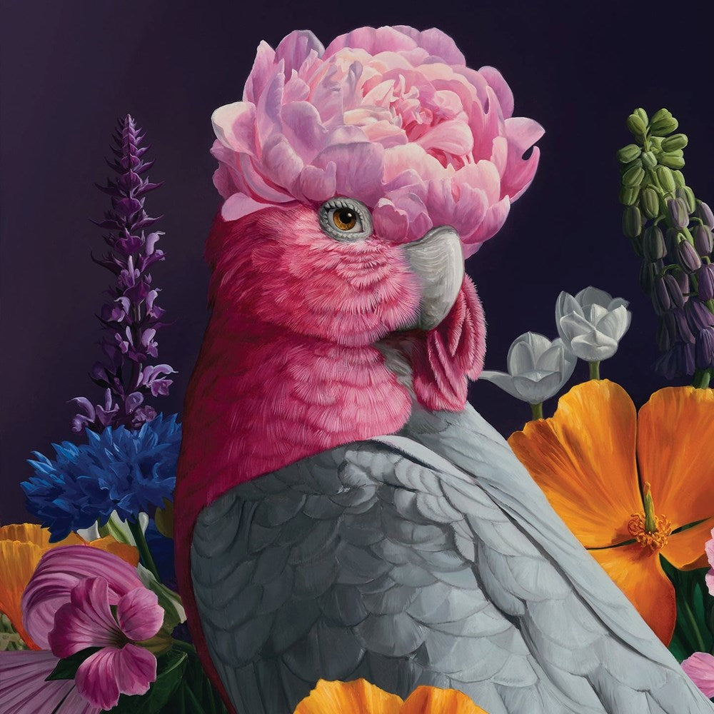 La La Land: Greeting Card Wonderland