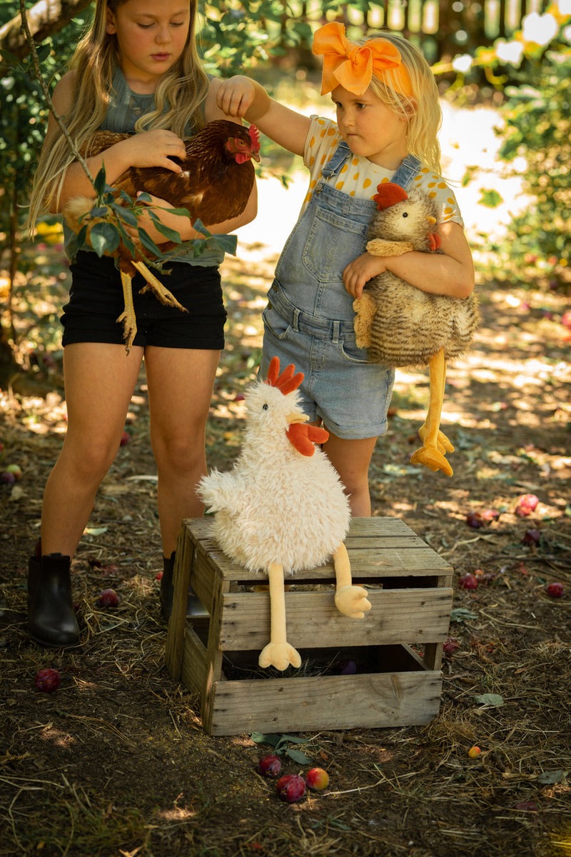Nana Huchy: Roy the Rooster