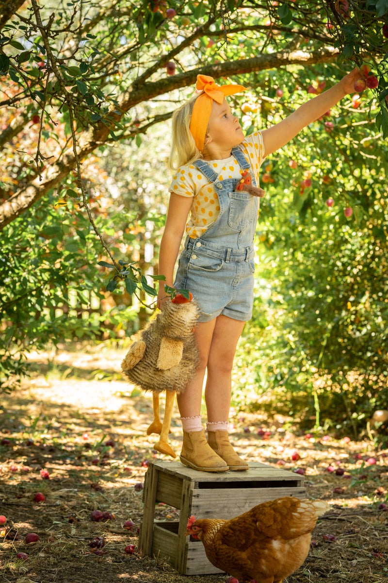 Nana Huchy: Rupert the Rooster