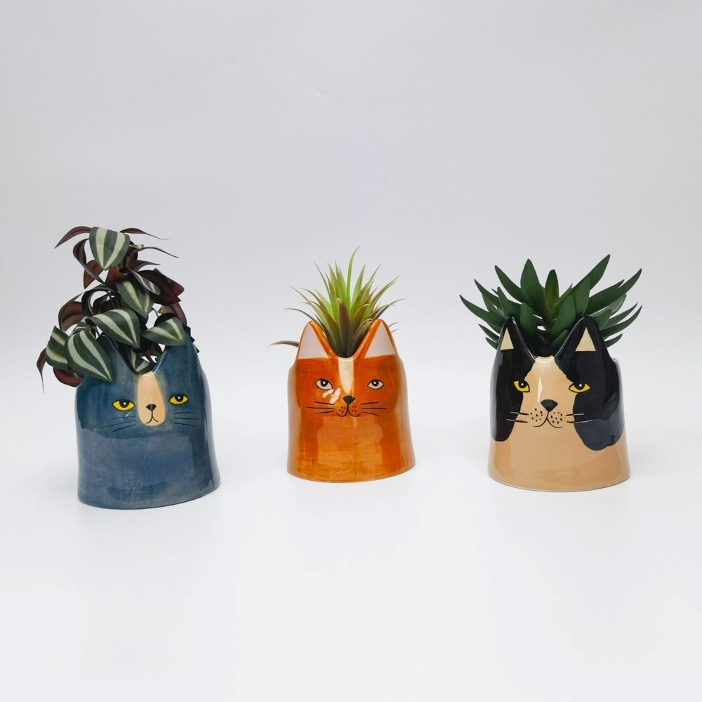 Bailey Cat Planter Blue