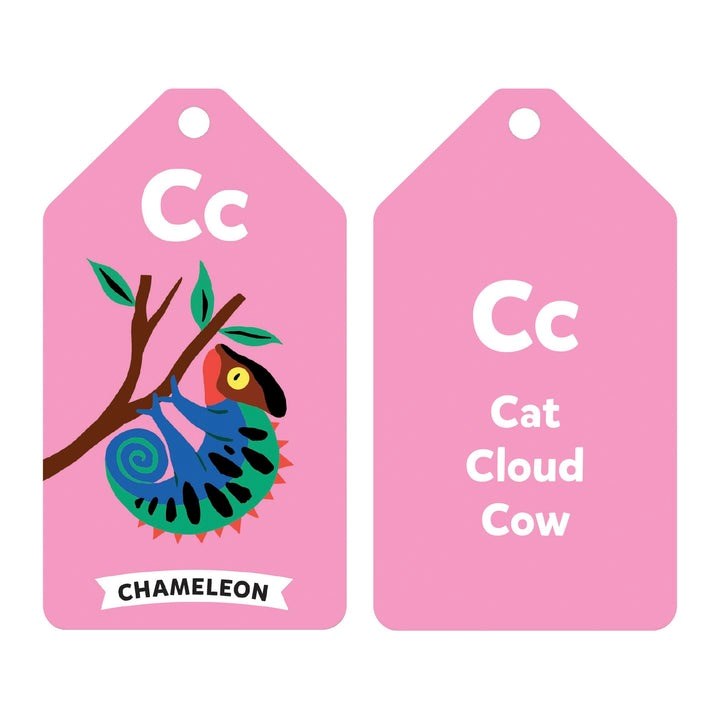 Mudpuppy: Flash Cards W'Life ABC
