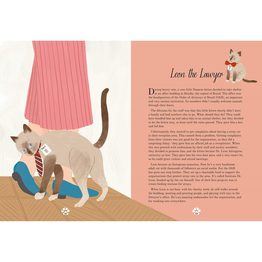 Cat Tales