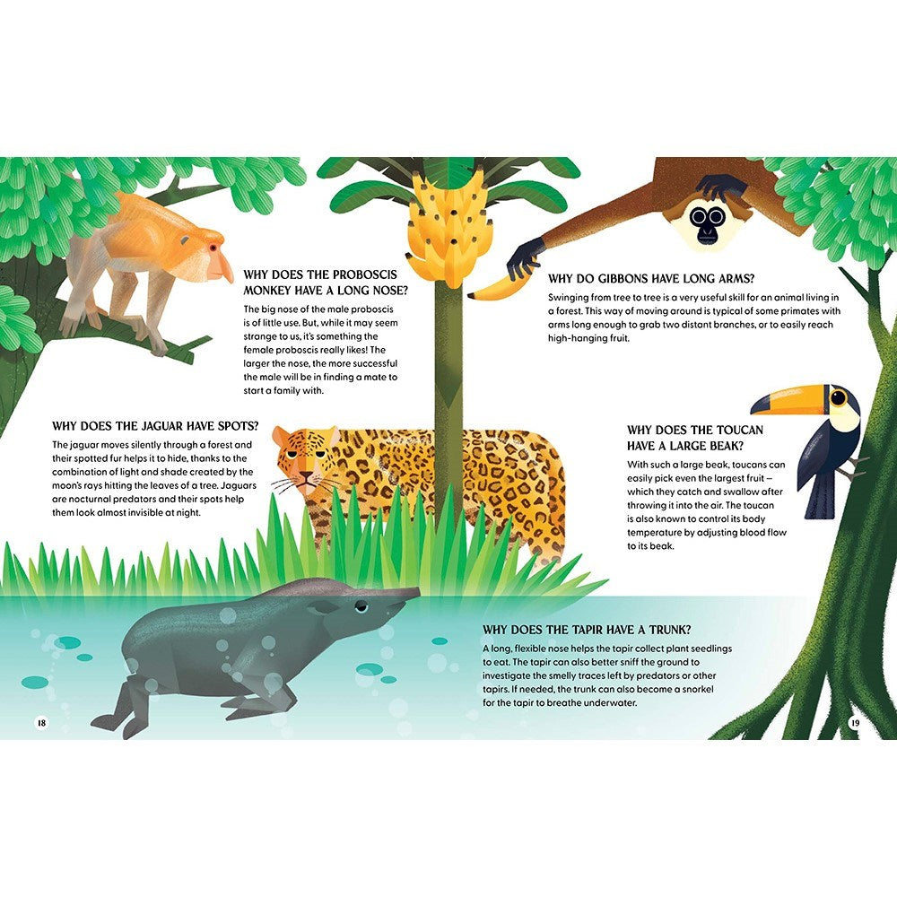 The Curious World of Animals