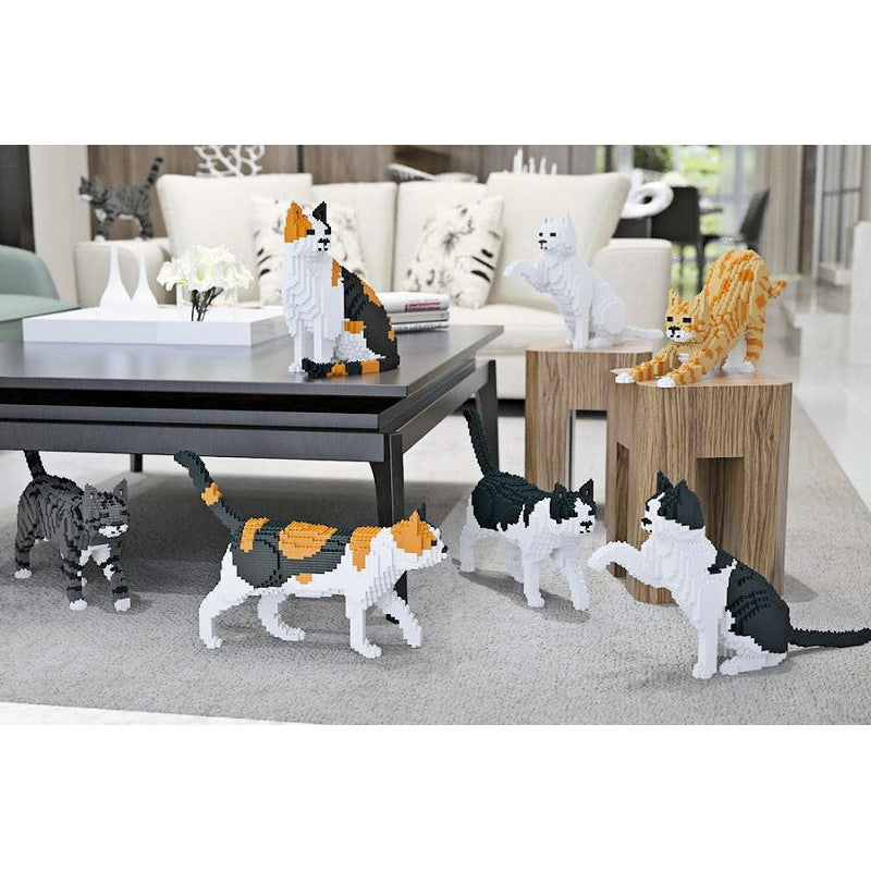 Jekca: Calico Cat