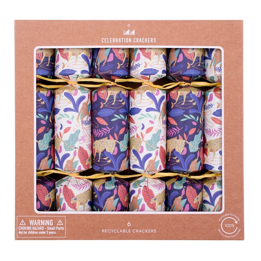 Celebration Crackers: Tropical Tray of 6