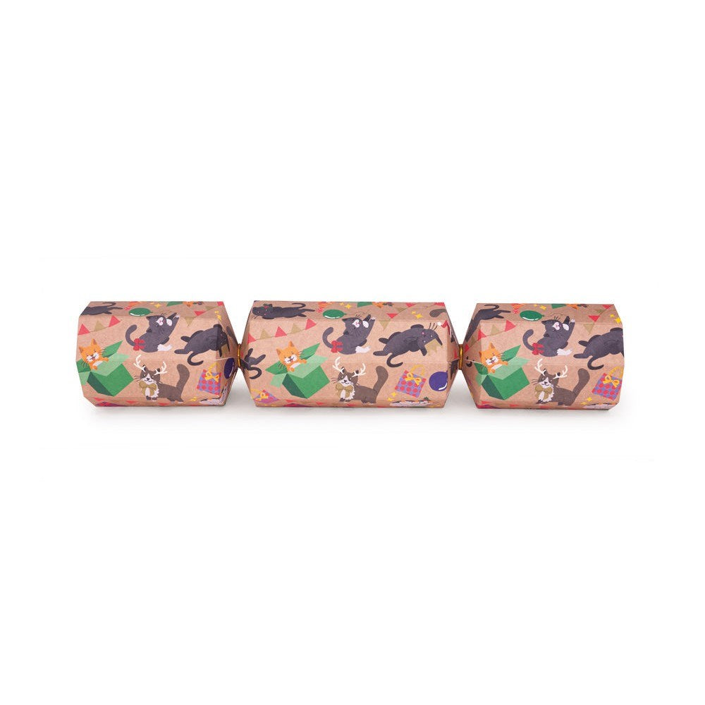 Celebration Crackers: Cat Single