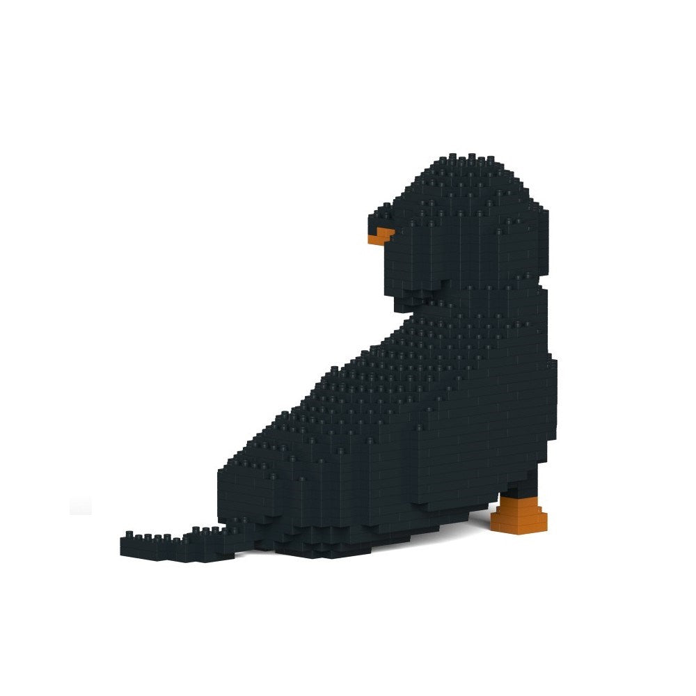Jekca: Dachshund