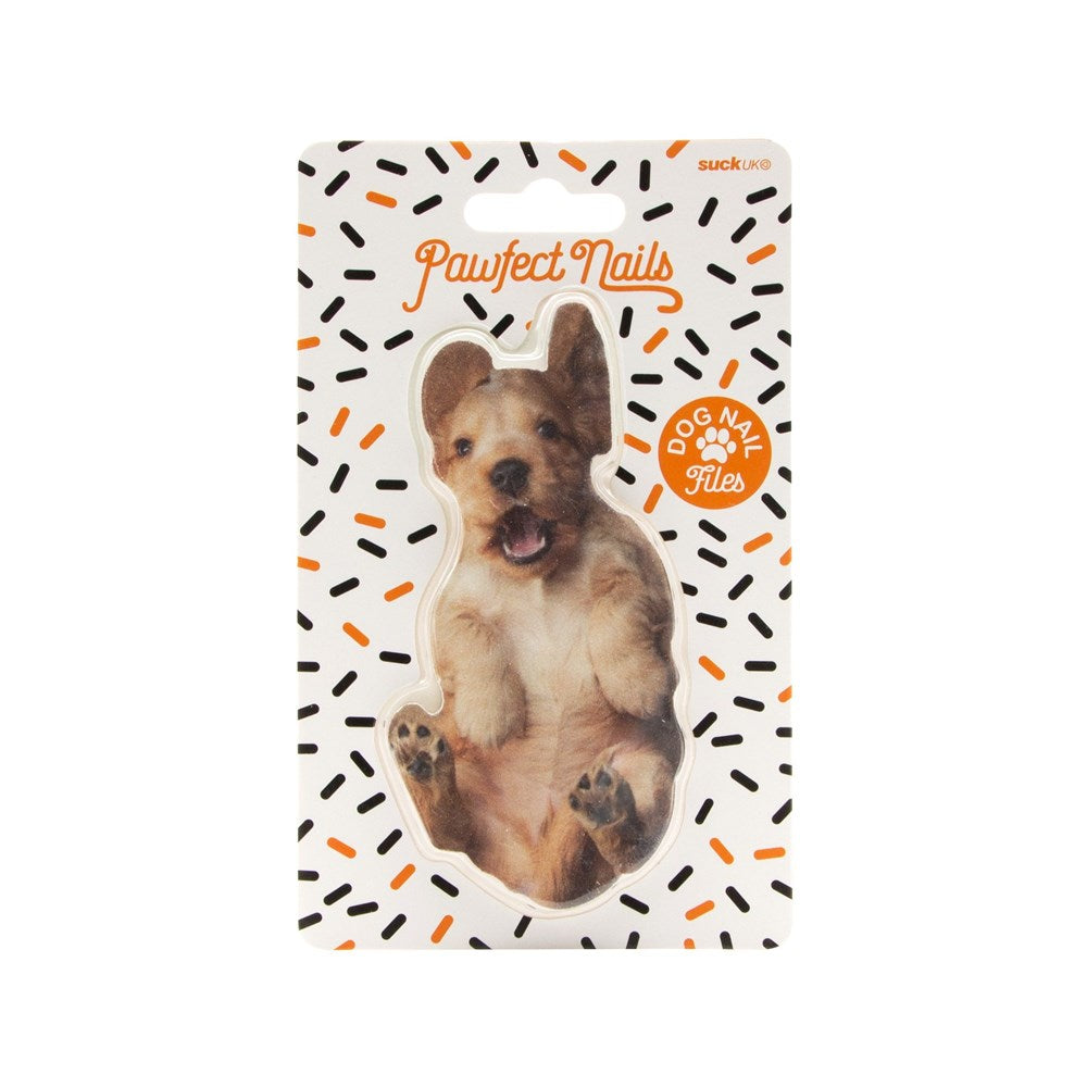Suck UK: Pawfect Nails Orange