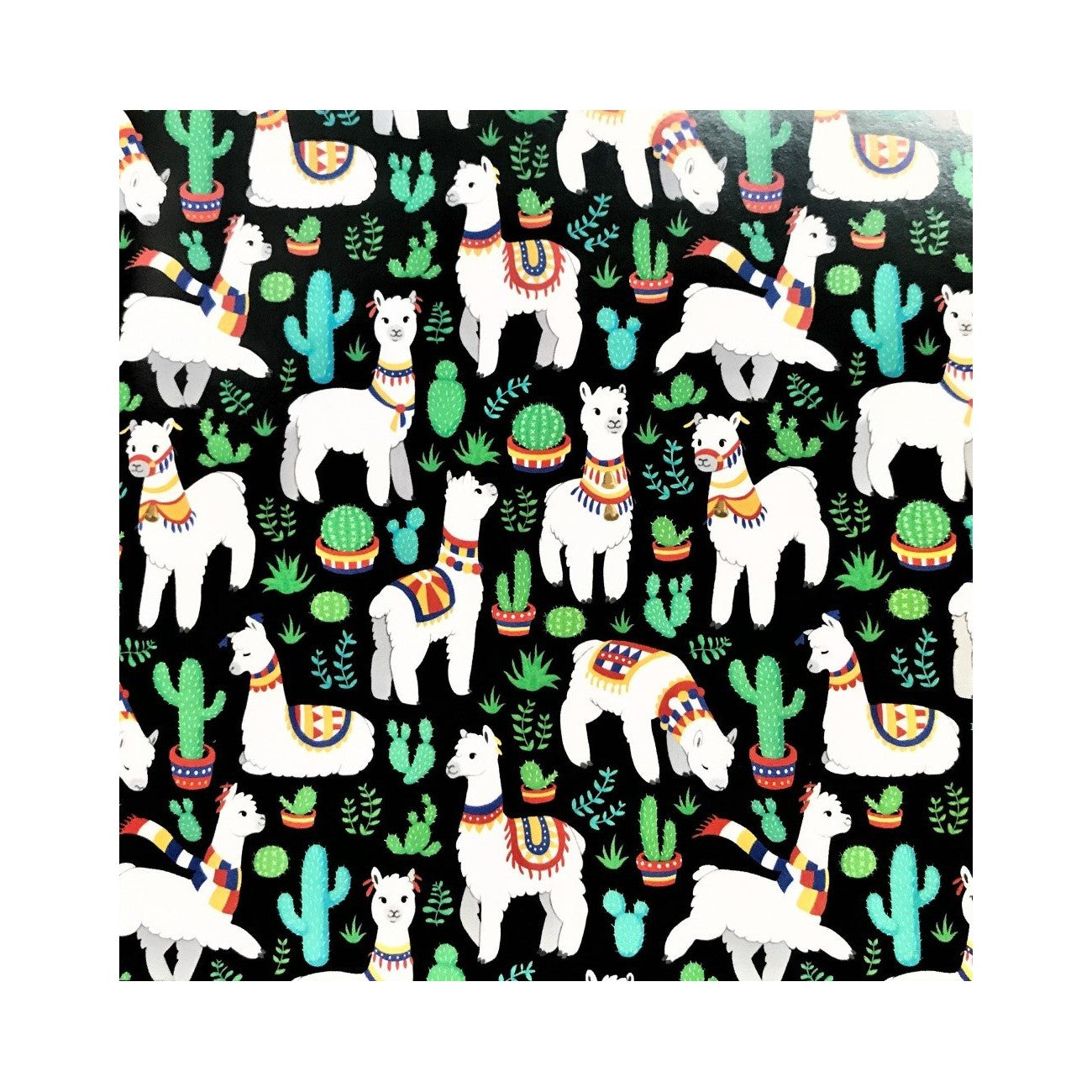 Greeting Card: Alpacas