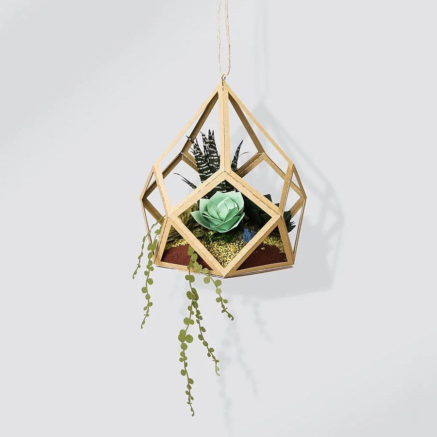 Paper Thought: Lasercut Paper Model Succulent and Beetle