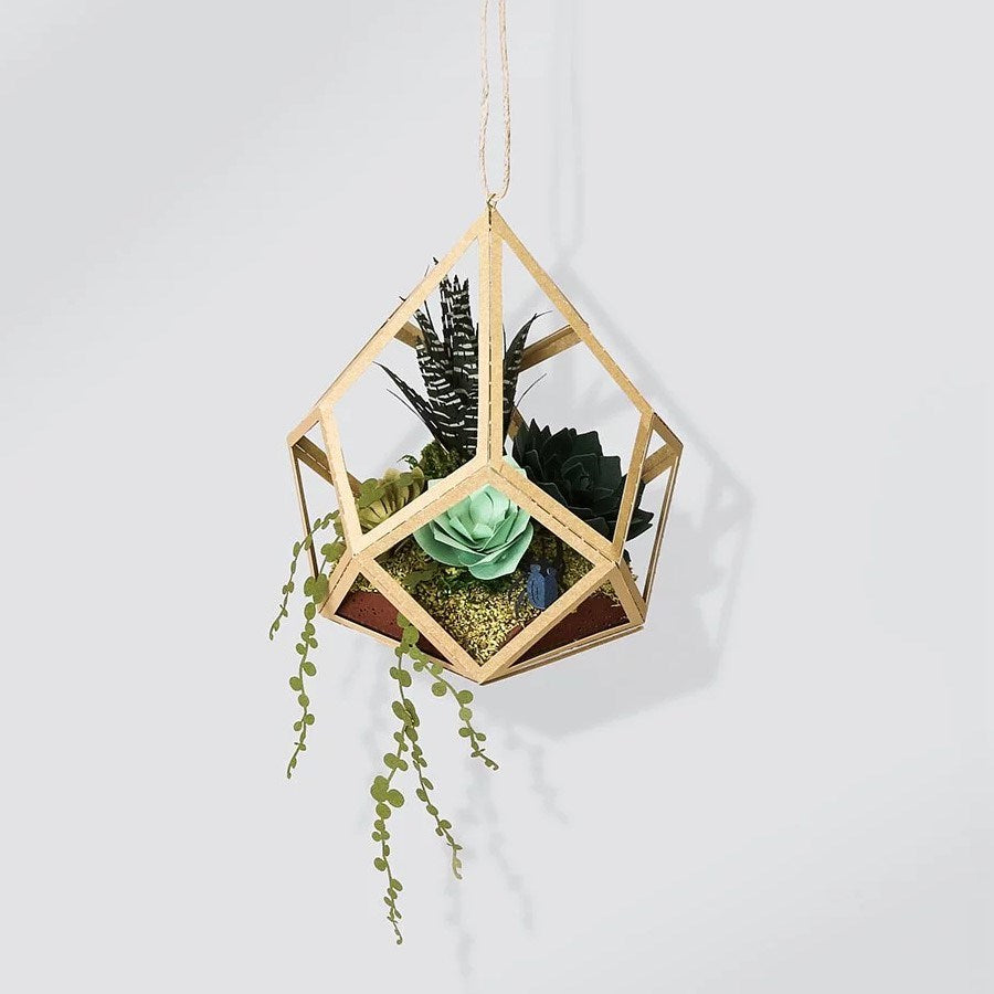 Paper Thought: Lasercut Paper Model Succulent and Beetle