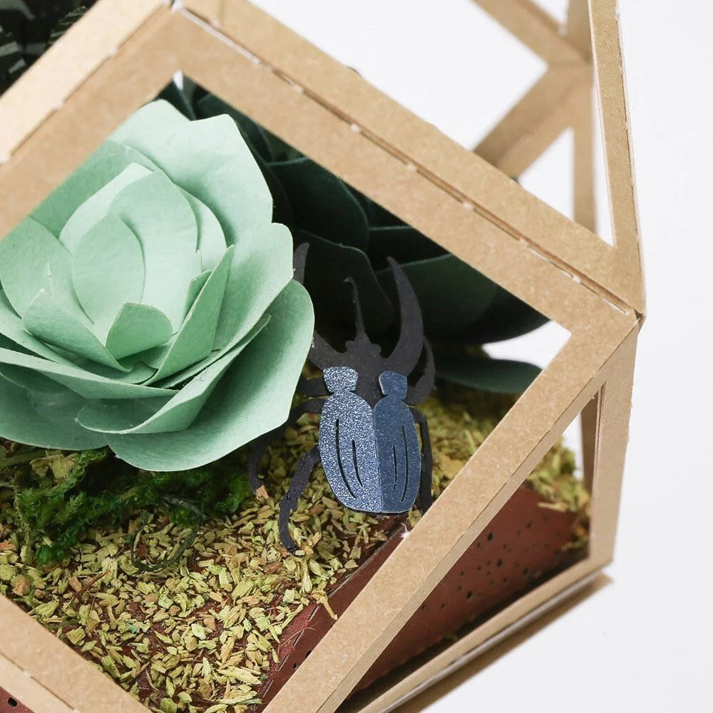 Paper Thought: Lasercut Paper Model Succulent and Beetle
