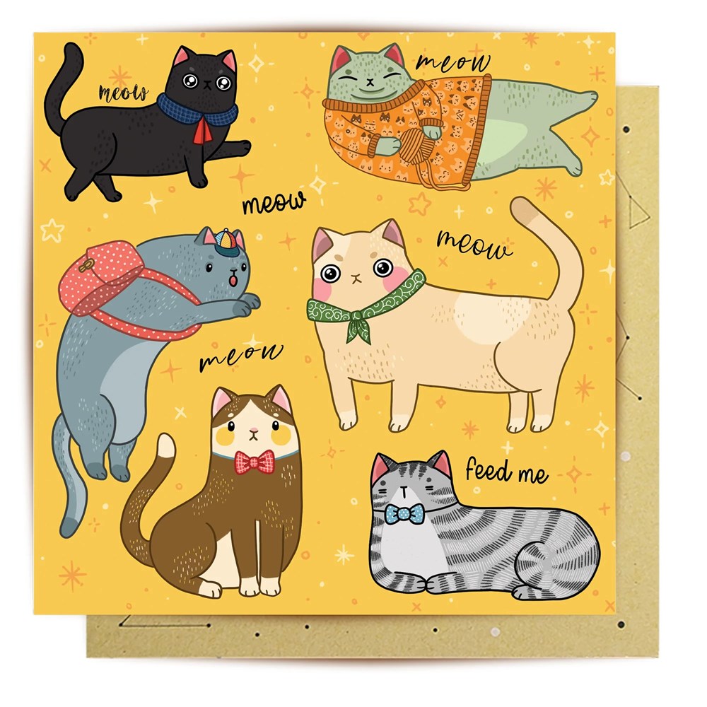 La La Land Greeting Card - Cat Nonsense