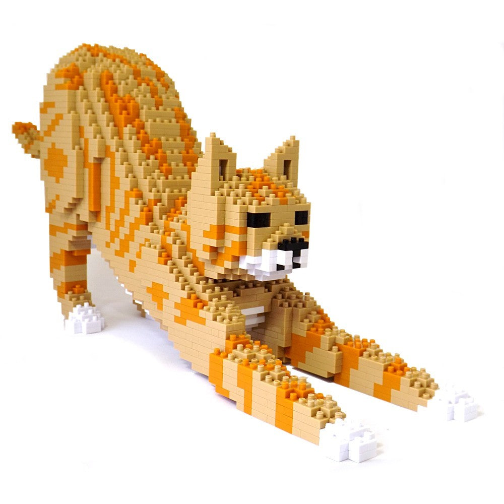 Jekca: Ginger Cat Stretch