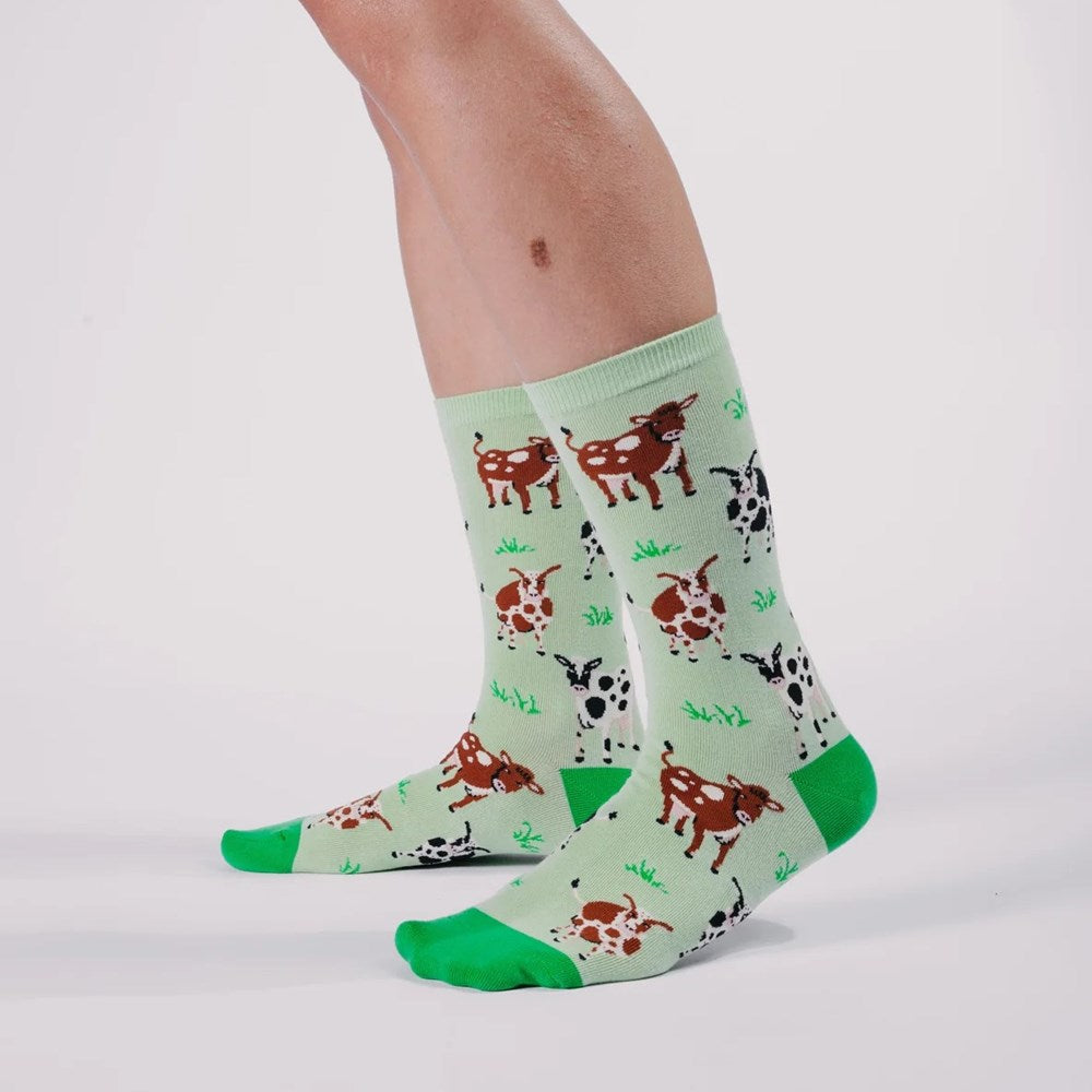 Spencer Flynn: Womens Cottonfield Cows Sock