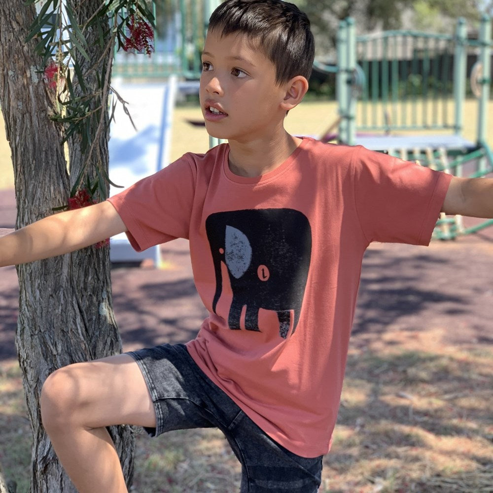 Elephant+Bird Ginger Spice Kids Tee