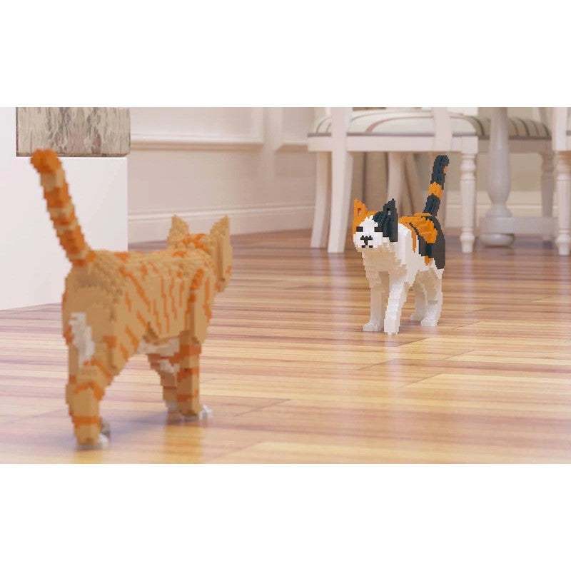 Jekca: Ginger Cat