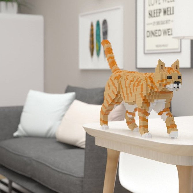 Jekca: Ginger Cat