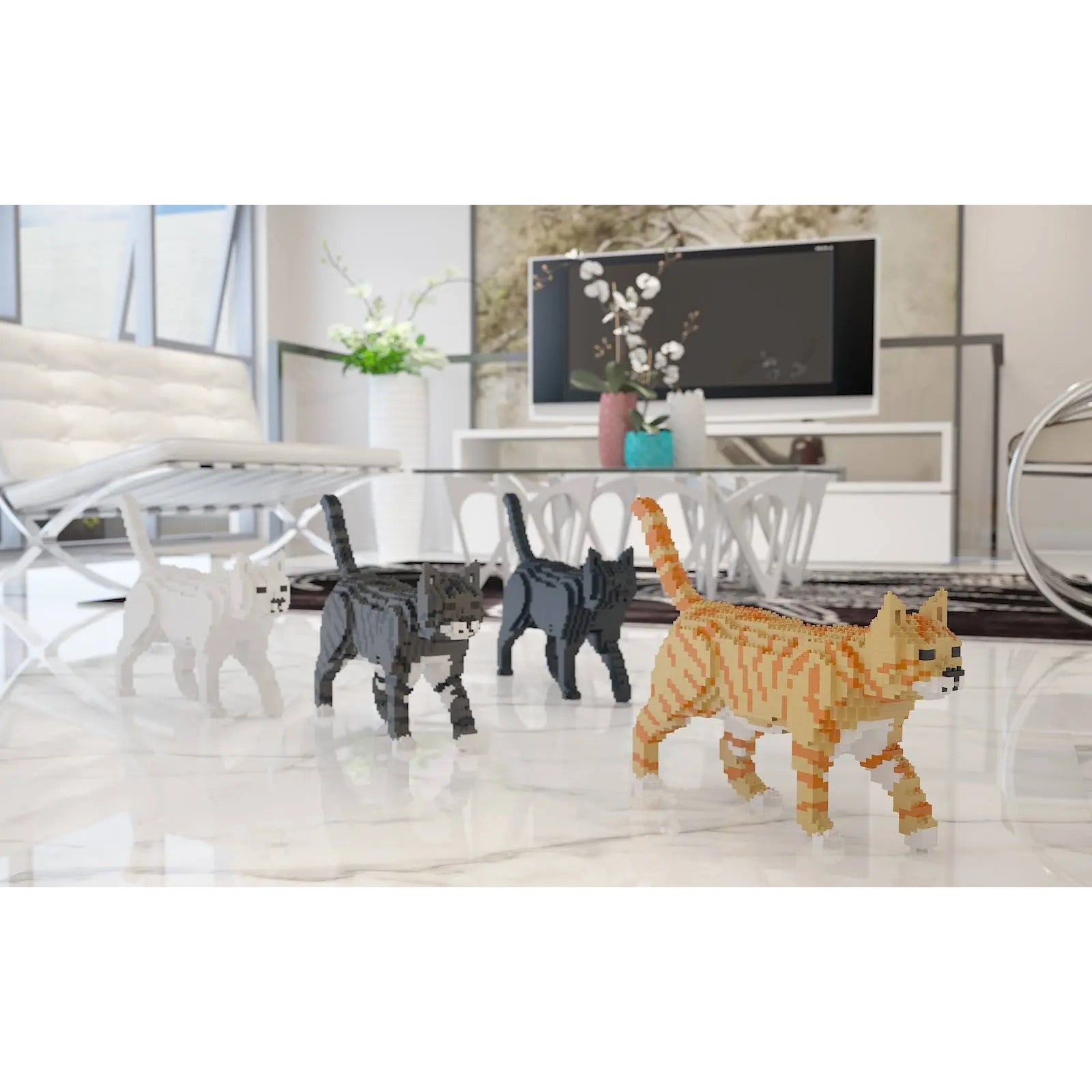 Jekca: Ginger Cat