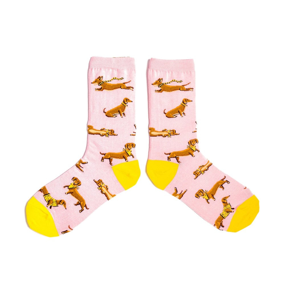 Spencer Flynn: Womens You Look Dachshing Sock