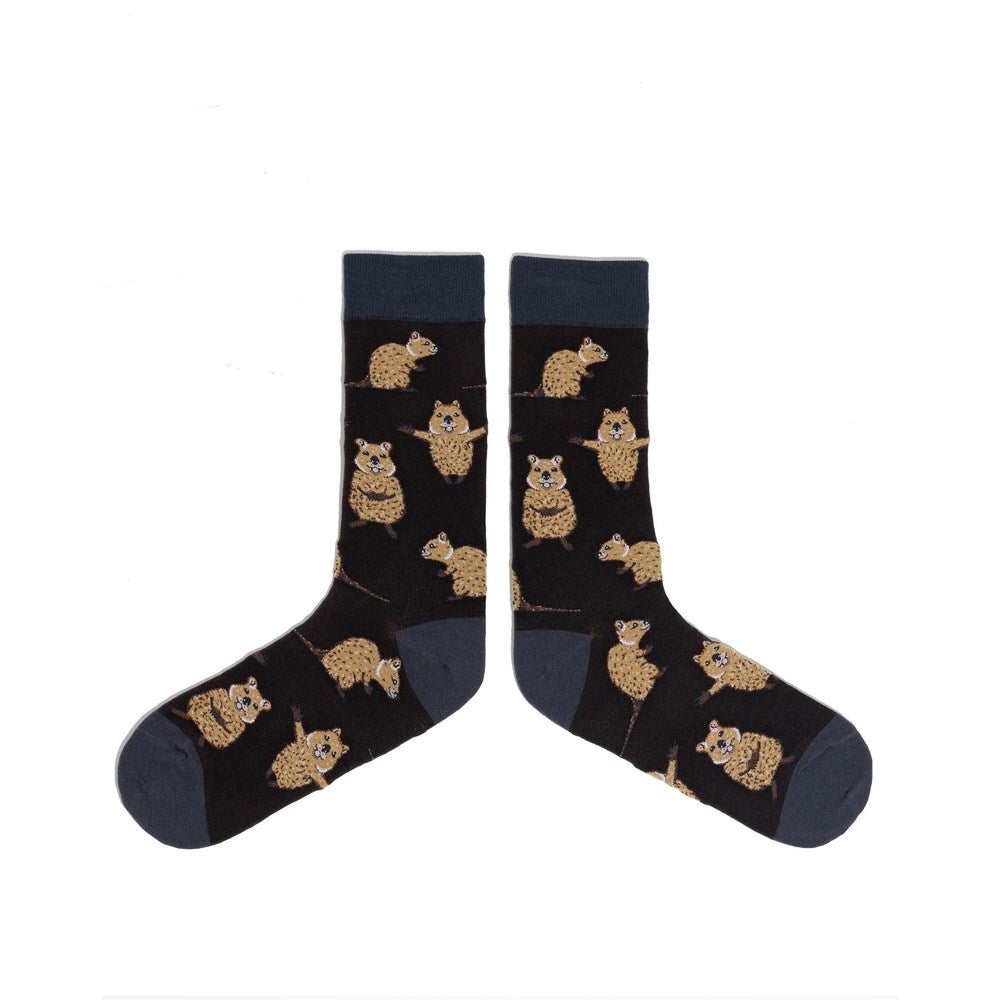 Spencer Flynn: Mens A Pair of Quocks Sock