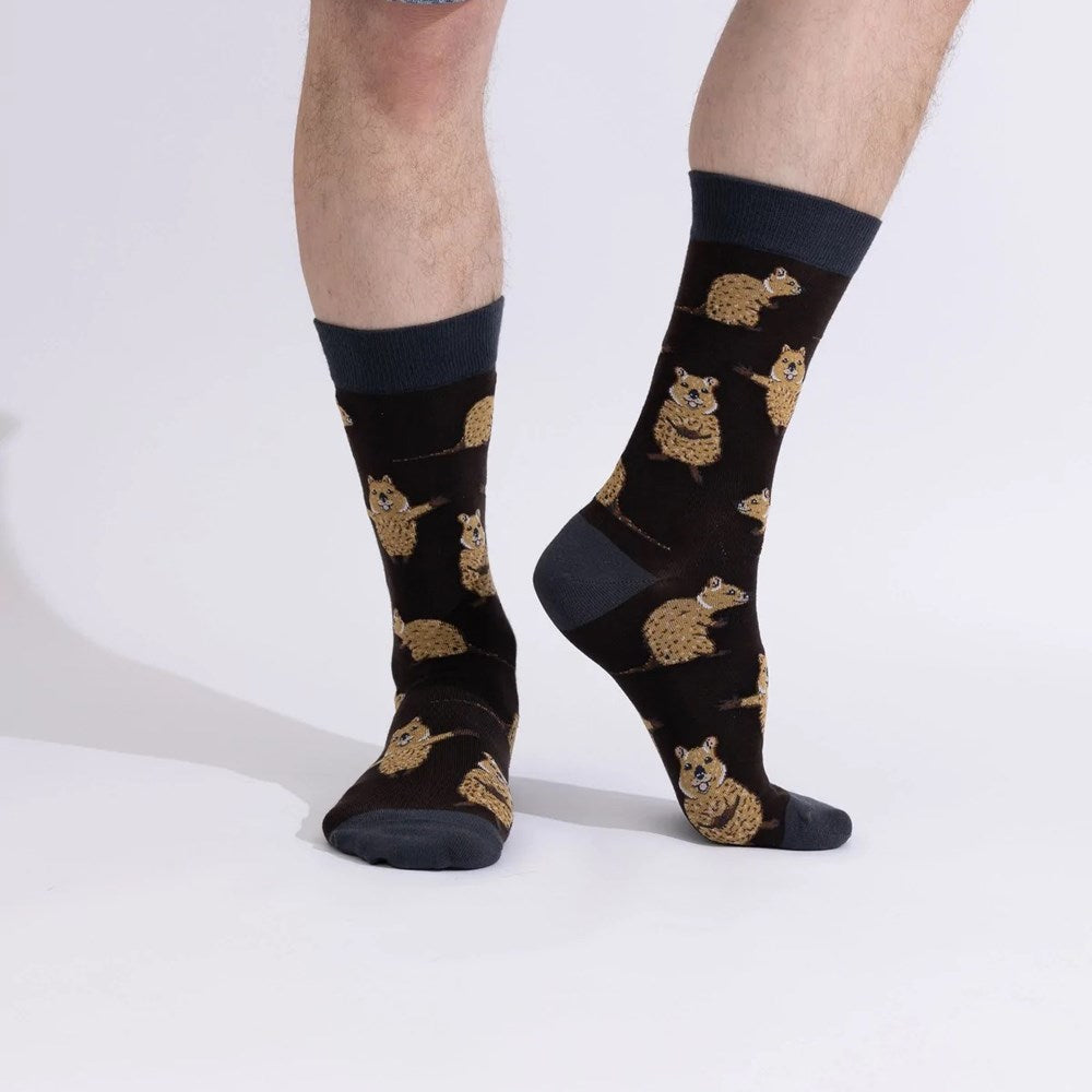 Spencer Flynn: Mens A Pair of Quocks Sock