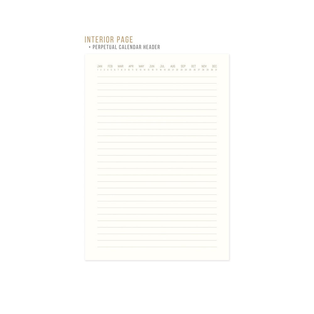 DesignWorks Ink: Hard Cover Suede Journal Radiant Rays Terracotta