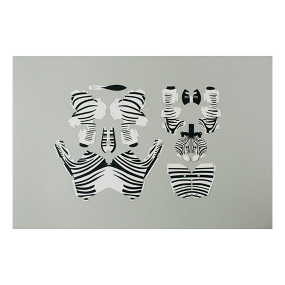 Top to Tail: Zebra Paper Model Kit